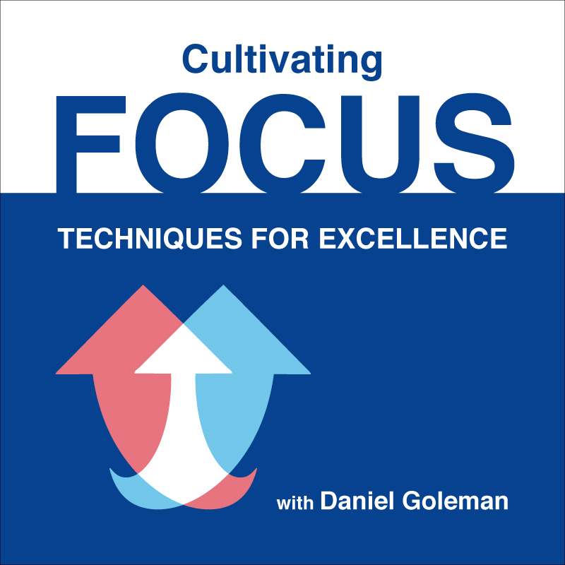 Cultivating Focus: Techniques for Excellence