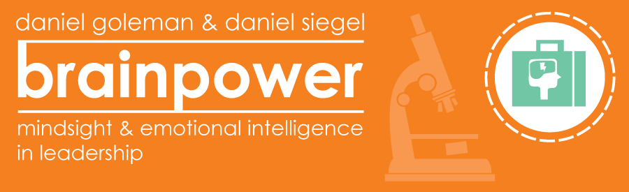 Brainpower Mindsight and Emotional Intelligence in Leadership