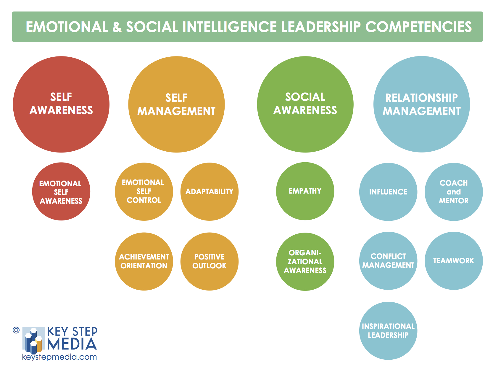 Emotional social intelligence leadership competency model
