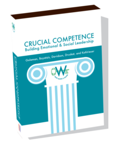 crucial-competence-daniel-goleman