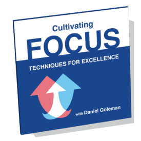 Cultivating Focus