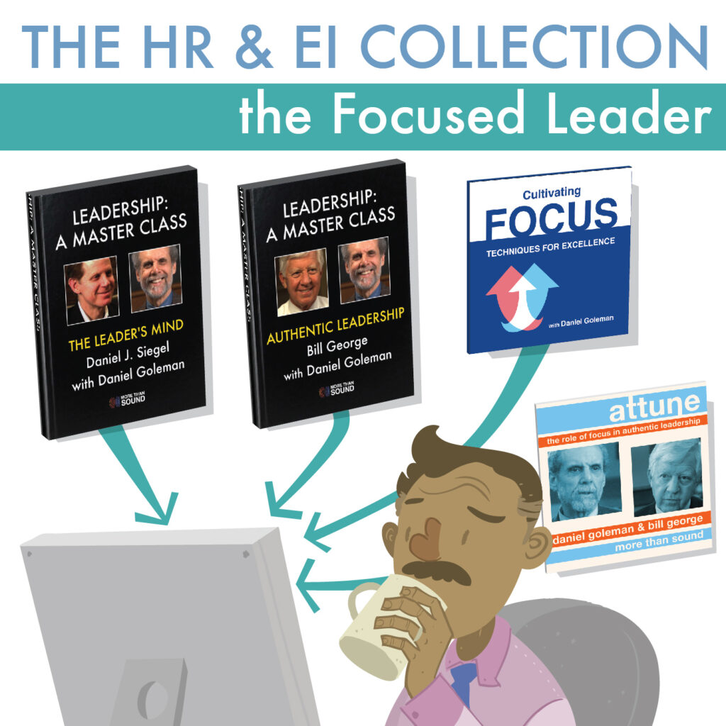 HR-EI_FocusedLeader-v2 Focused Leader