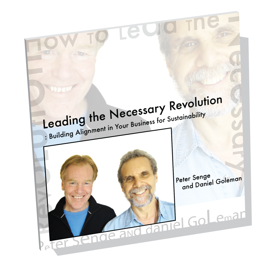 Leading the Necessary Revolution