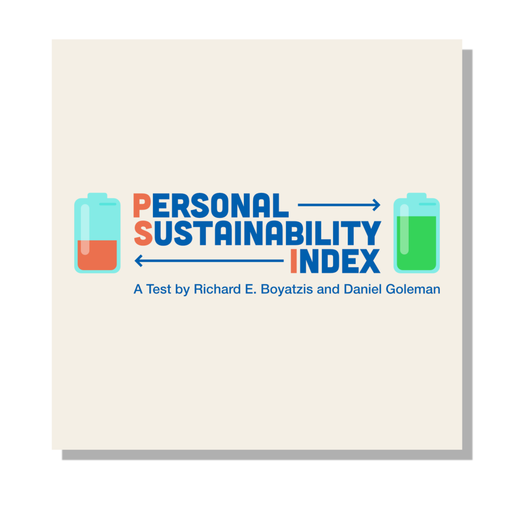 Product image for The Personal Sustainability Index