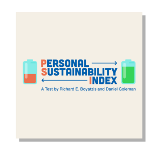 Product image for The Personal Sustainability Index
